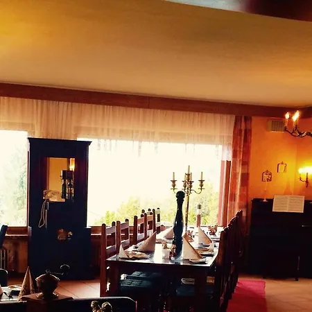 Waldhotel Koenig Von Rom Hotel 3*