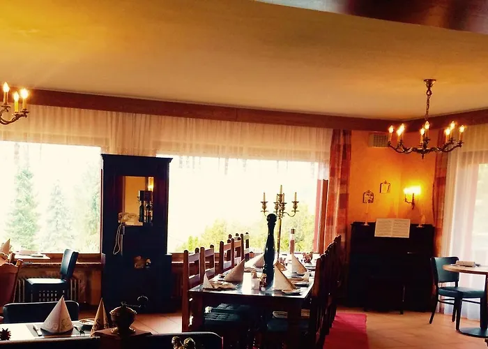 Waldhotel Koenig Von Rom Hotel 3*