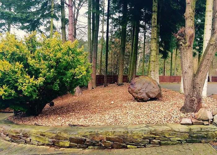 Waldhotel Koenig Von Rom 3* Waldesch